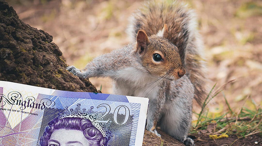 Bank of England choose wildlife to feature on new banknotes