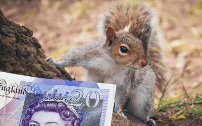 Bank of England choose wildlife to feature on new banknotes