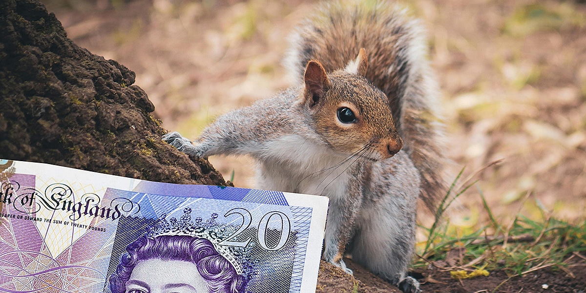 Bank of England choose wildlife to feature on new banknotes